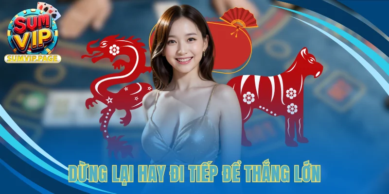 Rồng/Hòa/Hổ: Bí Kíp Thú Vị Giúp Làm Chủ Mọi Cuộc Chơi 5 Dừng lại hay đi tiếp để thắng lớn