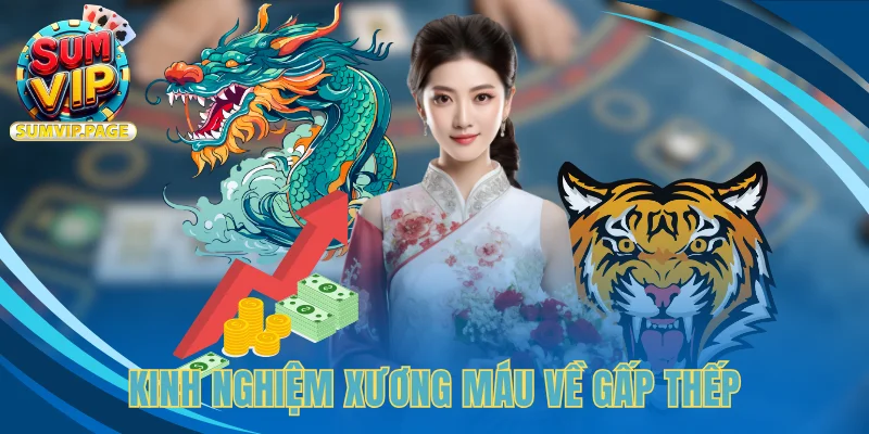 Rồng/Hòa/Hổ: Bí Kíp Thú Vị Giúp Làm Chủ Mọi Cuộc Chơi 4 Kinh nghiệm xương máu về gấp thếp